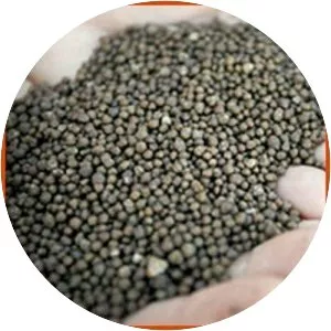 Diammonium phosphate - 