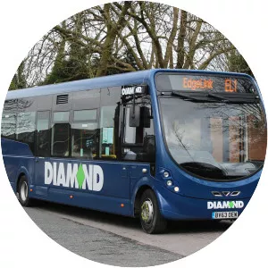 Diamond Bus