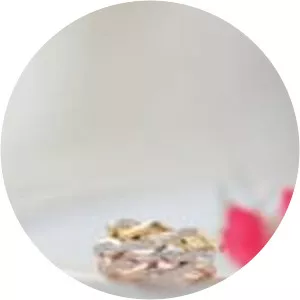 Diamond Elegance Jewelry - TV program