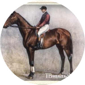 Diamond jubilee - Horse