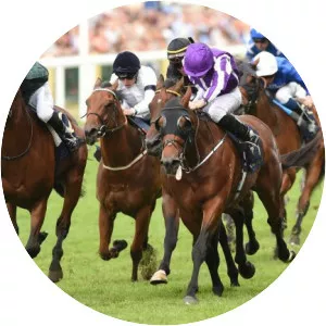 Diamond Jubilee Stakes - 