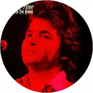 Diamonds in the Rough