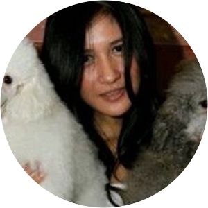 dian rahmaniar photograph