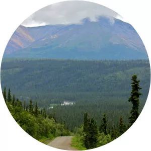 Diario de un nómada