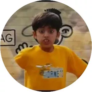 Diary of a Wimpy Kid: The Last Straw - Novel by Jeff Kinney