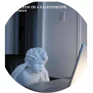 diary of an oxygen thief chameleon on a kaleidoscope 