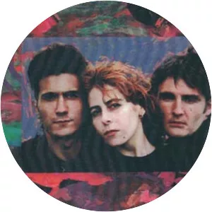 Días de Vino y Rosas photograph