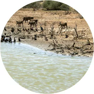 Diawling National Park - 