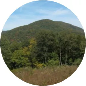 Dick's Knob