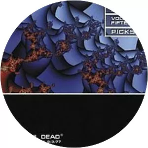 Dick's Picks Volume 15