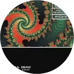 Dick's Picks Volume 17