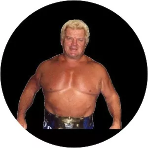 Dick the Bruiser