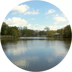 Dickinson Bayou - Bayou in Texas