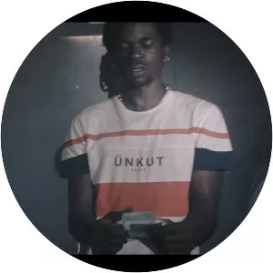 Didgis - Musical artist