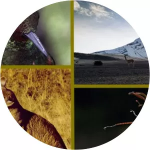 Die Anden - Natur am LimitSince 2019