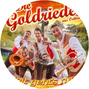 Die Goldrieder