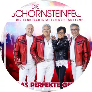 Die Schornsteinfeger