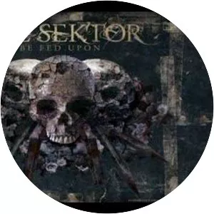 Die Sektor - Musical group