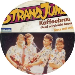Die Strandjungs - Musical artist