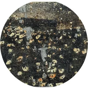 Die Ungeborenen  - Artwork