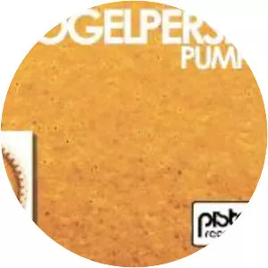 Die Vogelperspektive