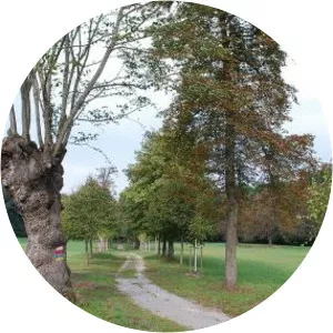 DIE WÜSTE Mannersdorf Nature Park Mannersdorf am Leithagebirge