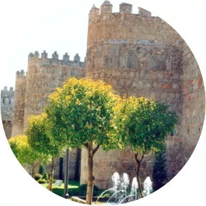 Diego Enríquez del Castillo