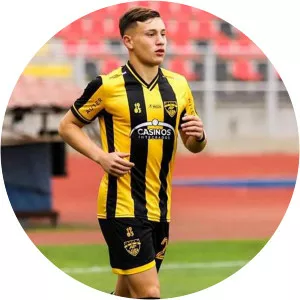 Diego Mauricio Sanhueza Hemmelmann