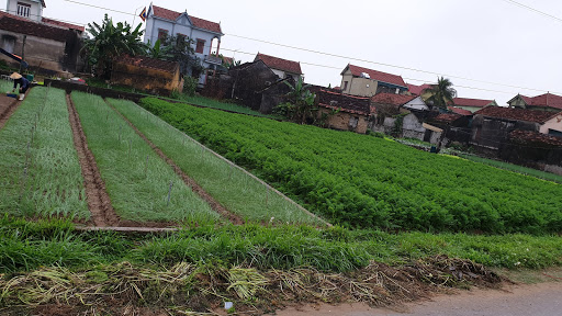 Dien Lanh - Dien Dan Dung photograph