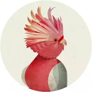 Dieter Braun - Motorcycle racer