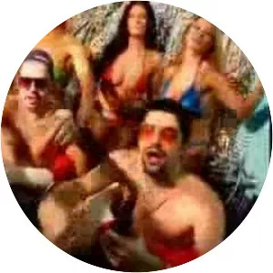 Digger Dance - Musical group