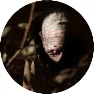 Digging Up the Marrow