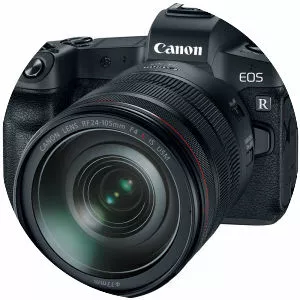 Digital camera photograph