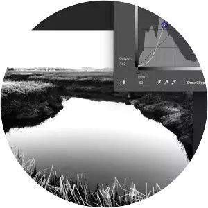 Digital negative - Transparency