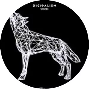 Digitalism