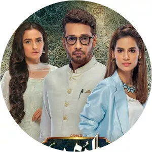 Dil-e-MominSince 2021