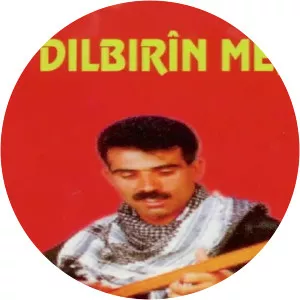 Dilbirin Mehmet - Musical artist