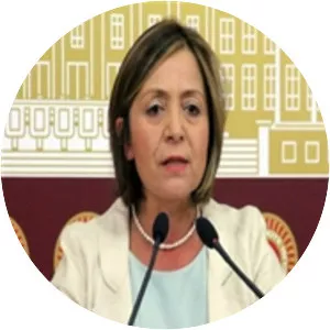 Dilek Akagün Yılmaz