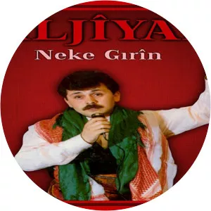 Diljîyan - Musical artist