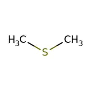 Dimethyl sulfide - Chemical compound