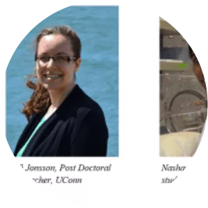 Dimethylmercury - Chemical compound