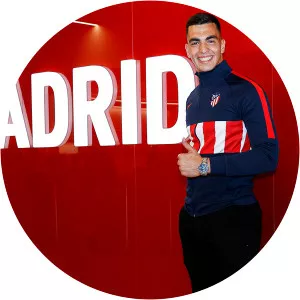 Dimitrios Stamatakis