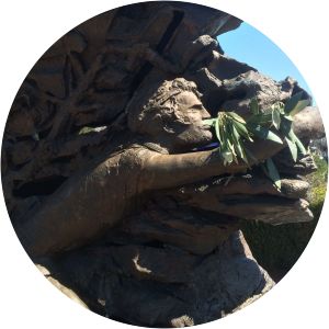 stylianos kyriakides dimitris kiriakidis photograph