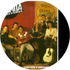 Dinamita Pa Los Pollos - Musical group