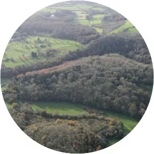 Dinas Powys hillfort - 