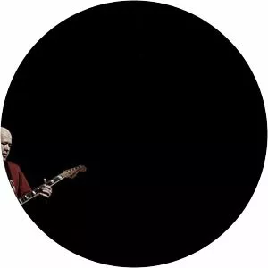 Dinko Tomljanović - Musical artist