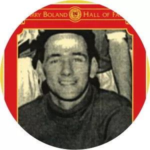 Dinny Lowry - Irish former football player