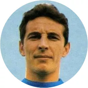 Dino D'Alessi