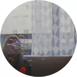 Dino Mansik - Musical artist