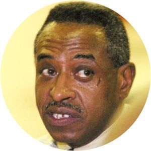 Dino Meminger photograph